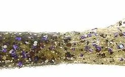 STRIKE KING LURE COMPANY Baits Strike King 3.5