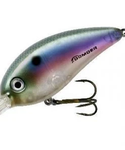 Baits Bomber Fat Free Square Lip BD7 3/4OZ 12 Baits Bomber Fat Free Square Lip BD7 3/4OZ
