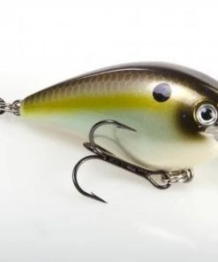 STRIKE KING LURE COMPANY Baits Strike King KVD 1.5 Square Bill Crankbait 50 STRIKE KING LURE COMPANY Baits Strike King KVD 1.5 Square Bill Crankbait