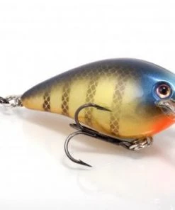 STRIKE KING LURE COMPANY Baits Strike King KVD 1.5 Square Bill Crankbait 31 STRIKE KING LURE COMPANY Baits Strike King KVD 1.5 Square Bill Crankbait