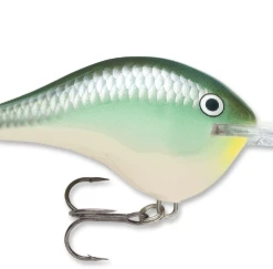 Bmtoutdoors RAPALA DT 10 CRANKBAIT Medium Diving Crankbaits