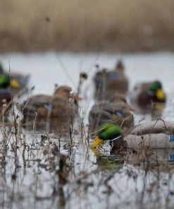 Bmtoutdoors Avery GHG Pro-Grade XD Series Mallards, Active 6 Pack