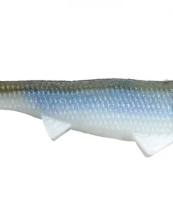 Optimum Baits Baby Boom Boom Swimbait 4.5