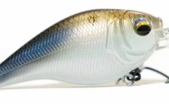 Medium Diving Crankbaits 6TH SENSE CLOUD 9 C6 CRANKBAIT