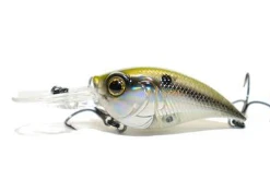 Bmtoutdoors Medium Diving Crankbaits 6TH SENSE CURVE 55 Crankbait 11 Bmtoutdoors Medium Diving Crankbaits 6TH SENSE CURVE 55 Crankbait