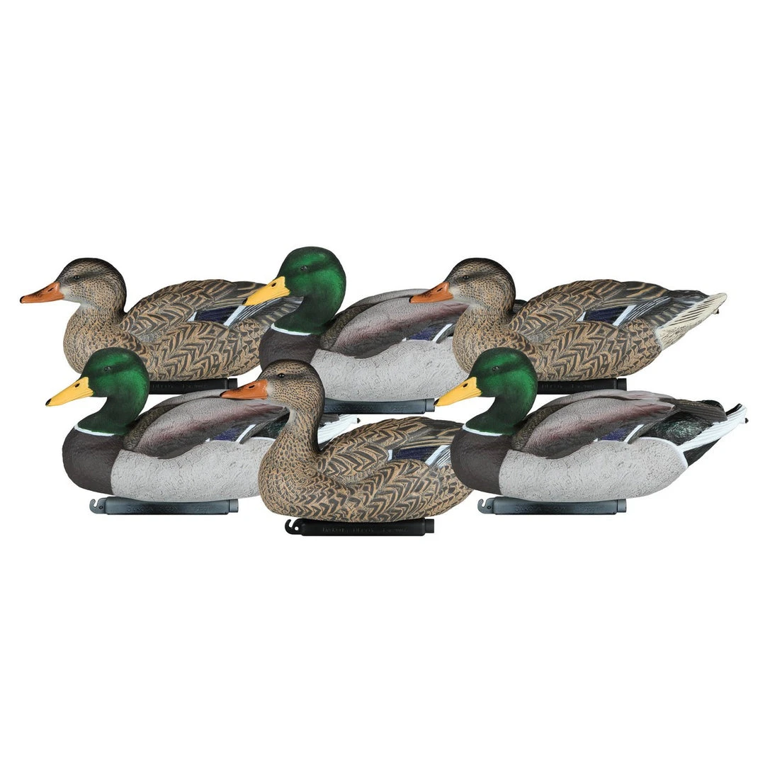 Bmtoutdoors Shop 37 Bmtoutdoors Dakota Packable Mallards Decoys Duck