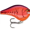 Bmtoutdoors Shallow Diving Crankbaits Rapala DT 6 Crankbait