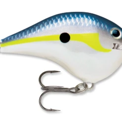 Bmtoutdoors RAPALA DT 10 CRANKBAIT Medium Diving Crankbaits