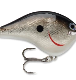 Bmtoutdoors RAPALA DT 10 CRANKBAIT Medium Diving Crankbaits
