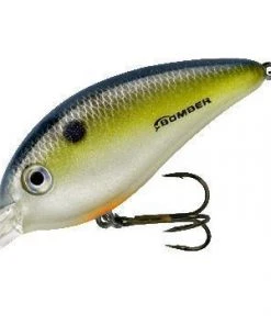 Baits Bomber Fat Free Square Lip BD7 3/4OZ 11 Baits Bomber Fat Free Square Lip BD7 3/4OZ
