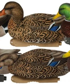 BANDED HOLDINGS Pro-Grade Mallard XD Harvester 6 Pack Duck