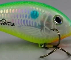Bomber Fat Free Shad BD7