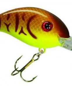 STRIKE KING LURE COMPANY Medium Diving Crankbaits Strike King 3XD Crankbait