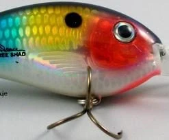 Bomber Fat Free Shad BD7